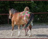 1-13JUIN 0889
